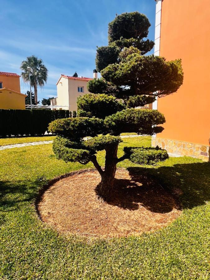 Oliva Nova Beach & Golf Resort Club Sevilla VI Extérieur photo